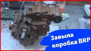 Завыла Коробка Brp G1