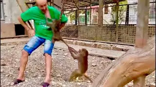 Ну ты посмотри, Люська шемля ревнивая, чуть хвост Степе не оторвала!