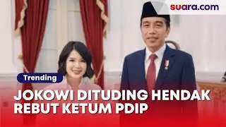 Jokowi Dituding Hendak Rebut Ketum PDIP dari Megawati, Stafsus Presiden: Lagi-lagi Hasto Offside!