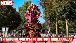 The world's largest flower parade took place in the Netherlands