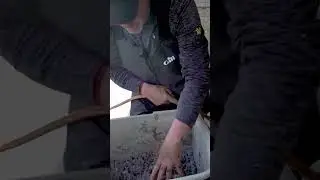 How to keep worms alive 