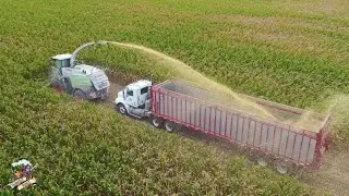 Corn Silage Harvest on the Ohio Indiana Stateline