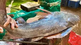 Amazing Gora Fish Perfect Cutting Skills Live Video |  Quick & Easy Tutorial
