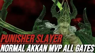 Lost Ark Akkan Normal / Punisher Slayer Gameplay / MVP All Gates