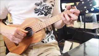 APC TS Tenor Ukulele ( Low G )