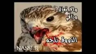 تكفا تكفا