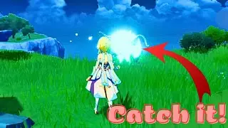 What happens if you follow Mysterious Seelie | Genshin Impact