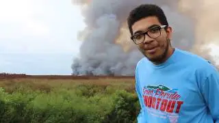 Pepsi Fire Review (part 2)