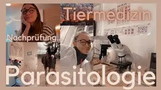 Tiermedizin Lernvlog // Nachprüfung Parasitologie