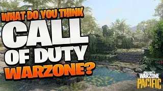 What do you think of Call of Duty Warzone?