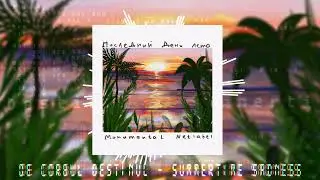 De Corbul Destinul - Summertime Sadness (VISUALIZATION)