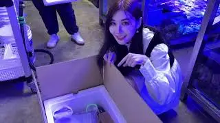 【張小筑】海洋空間Oceanspace-全台唯一水母創始店｜超大養殖場ＷＯＷ！