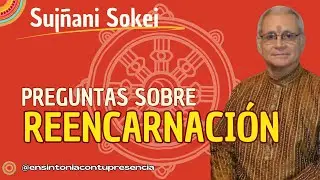 💥Preguntas sobre la REENCARNACIÓN - Sokei
