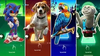 🦖 Sonic Exe vs The Little Dog vs The Real Rio vs Spider Thomas Train | Coffin Dance 🪩