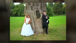 Karen & David's Wedding
