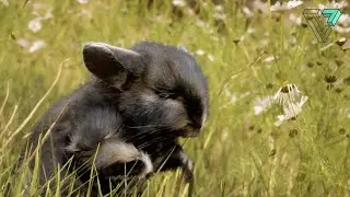 Visual Magic student showreel - spring 2023
