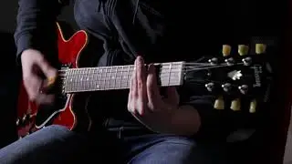 I Wont Back Down Guitar Cover