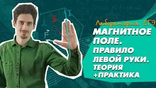 ЕГЭ Физика 2021 | Правило левой руки | ТЕОРИЯ + ПРАКТИКА | Сила Лоренца и сила Ампера