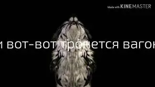 На mep Лунная Лапка&:OLA(Part 2)