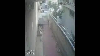 07akc746