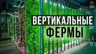 Как обеспечить всех людей на планете едой?