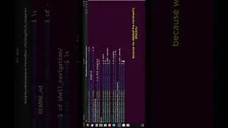 How to remove directories in the linux terminal 