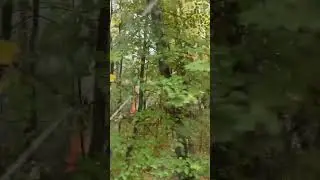 В Балашихе массово подожгли бревна в лесу