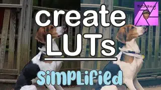 Create and Import LUTs - Affinity photo iPad tutorial