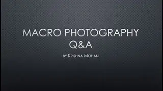 Macro Photography Question & Answer Session on 30 May 2020