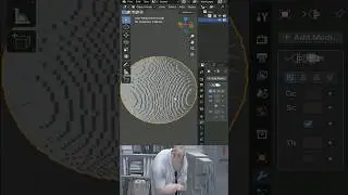 Noob vs Pro : Voxel Art 