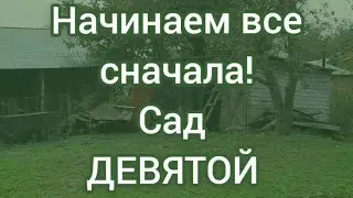 28 сентября 2024 г.