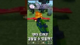○○만 주면 뭐든지 길들일 수 있는 모드 [마인크래프트 BE] #shorts