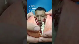 😎LOOK TO THE END😎 Перекус На Имя Арген short 