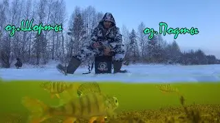 оз.Шорты+оз.Подты