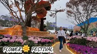 #travel FLOWER FESTIVAL/ Solitude like a flower 🌷🌹by VeronicaTerry Dear