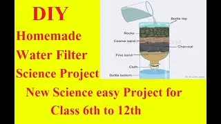 DIY SCIENCE PROJECT/WATER FILTER/HOMEMADE WATER FILTER