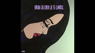 theo-vreau sa cred ca te cunosc(Official Audio)