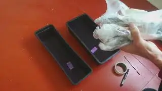 Черенки от Тиграна