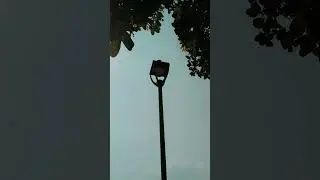 Street light cinematic video 4k