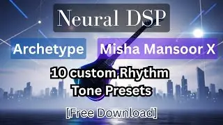 [Neural DSP] Archetype Misha Mansoor X 10 custom Rhythm Tone Presets (Free Download)