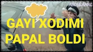 GAYILAR ZAPAL BOLDI