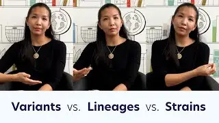 VARIANTS vs. LINEAGES vs. STRAINS — What's What