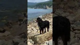 Балу на фоне скалы Киселева !