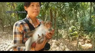 Young pregnant Patty trust PaPa Song carry comfort, Help feeding monkey by lovely