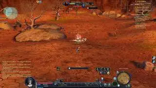 AION CLASSIC EU | Старт сервера | Assassin | Убийца!