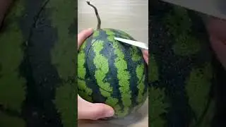 What’s so special about this watermelon? 🍉 #shorts #youtube  #eclipse #happy #dog #viral #video