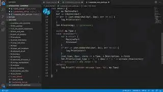 Golang Deep Dive P1 - L52 - Write and Read JSON