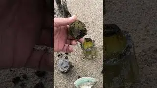 пляжный Шурф топляка #metaldetecting #fishing #море #коп #жизньвкайф#хобби#сибирь#пушка#топчик#1mi