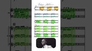Martinů Harpsichord Concerto - Allegretto 1/2