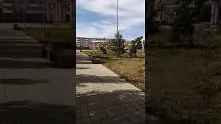 25 июня 2020 г.